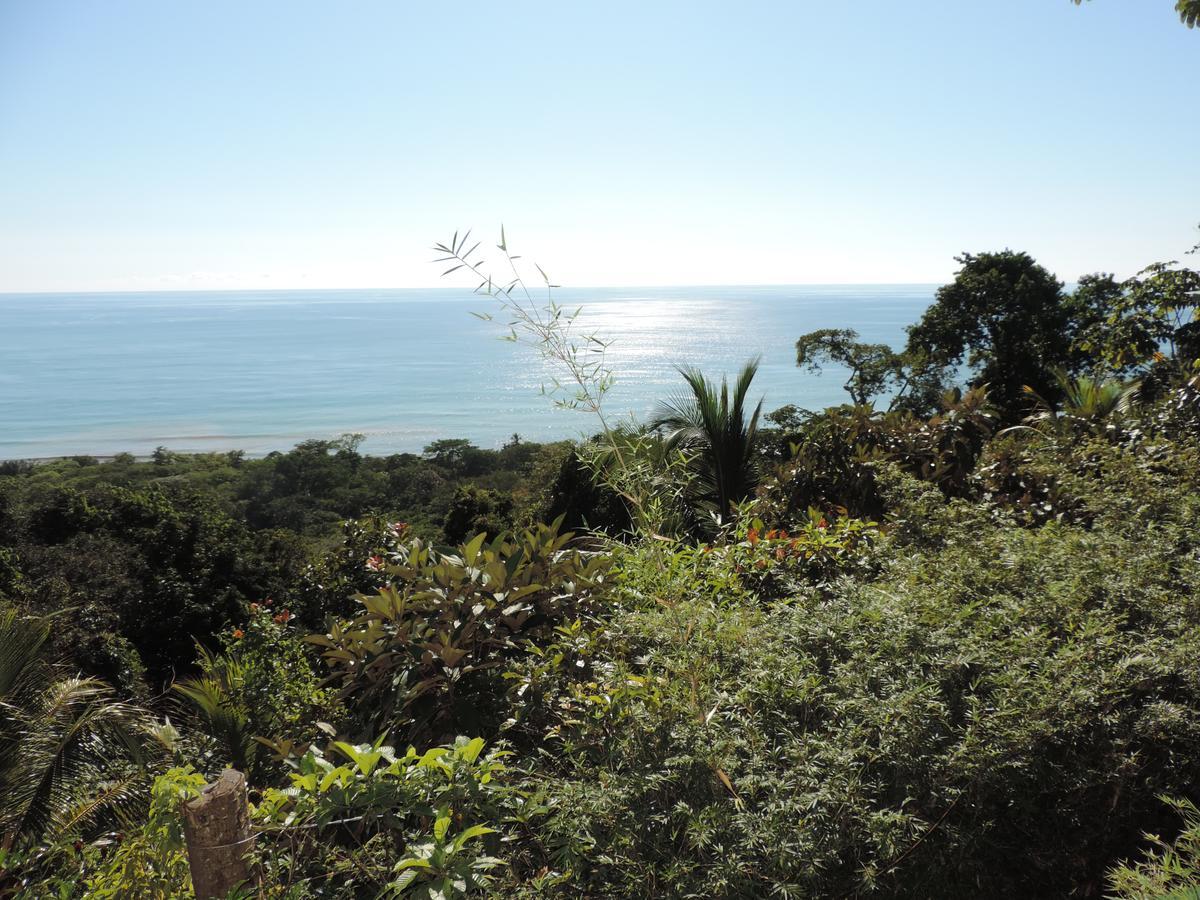 Ranchos Remo Lodge Uvita Kültér fotó