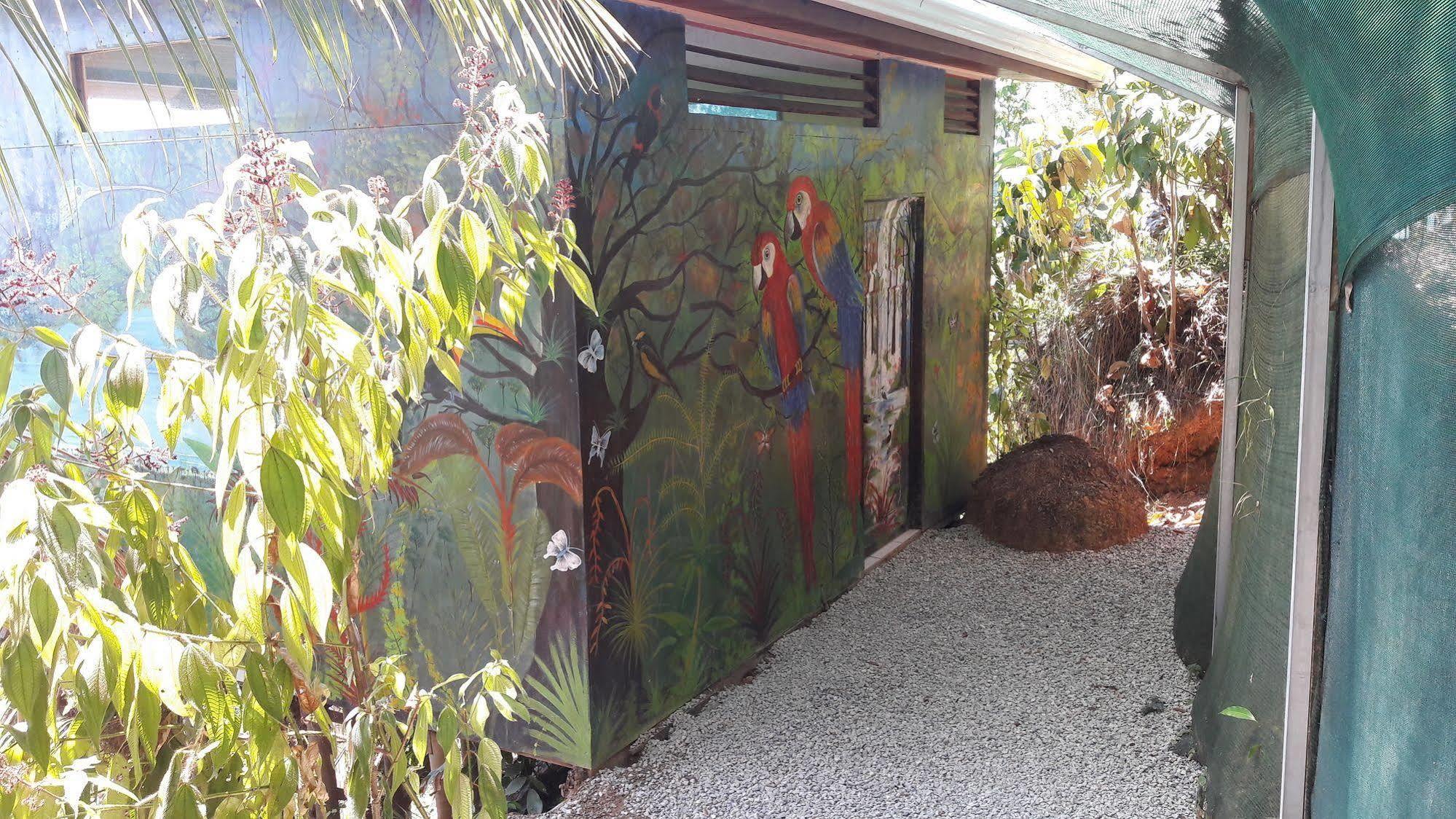 Ranchos Remo Lodge Uvita Kültér fotó