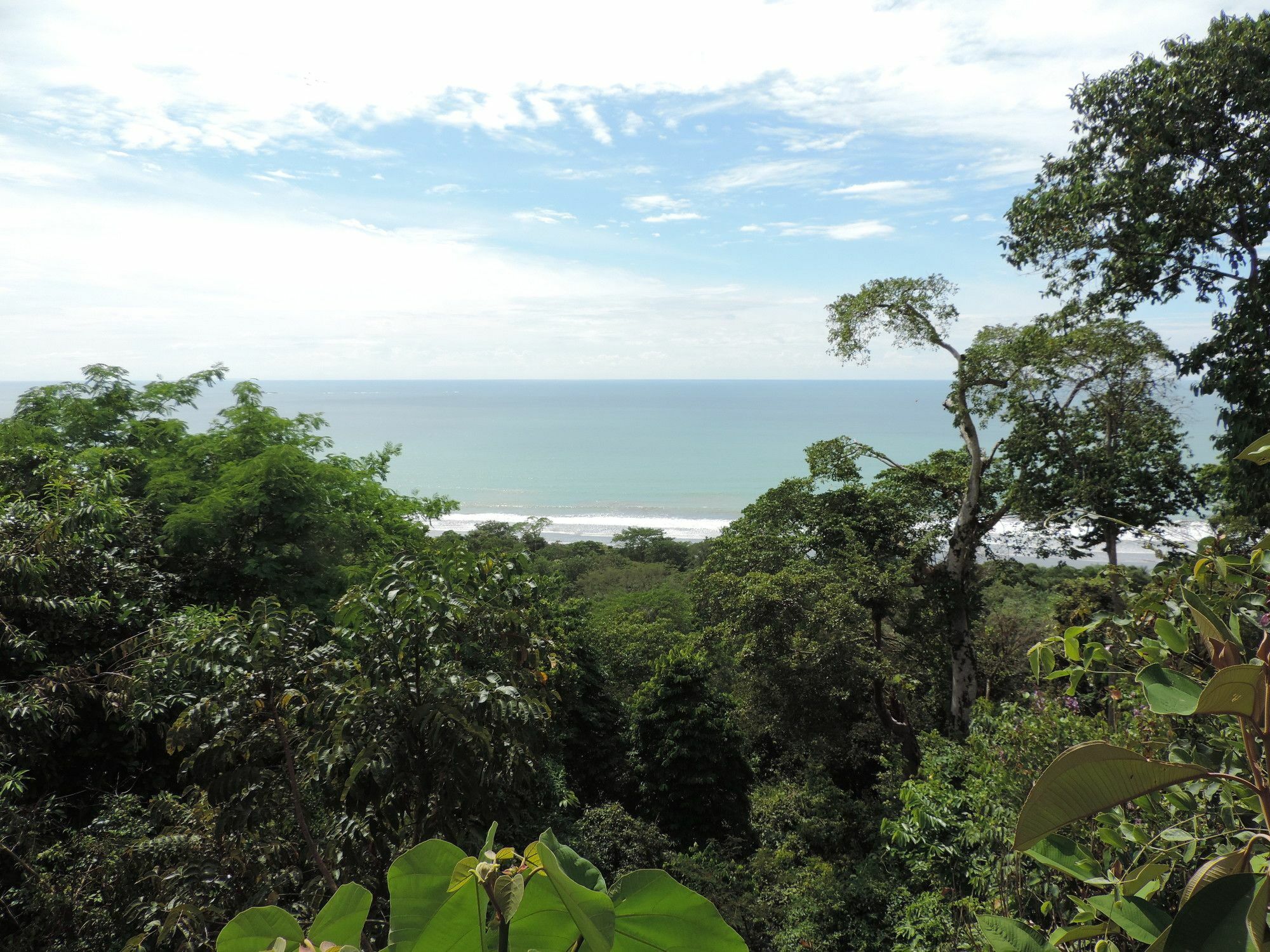 Ranchos Remo Lodge Uvita Kültér fotó