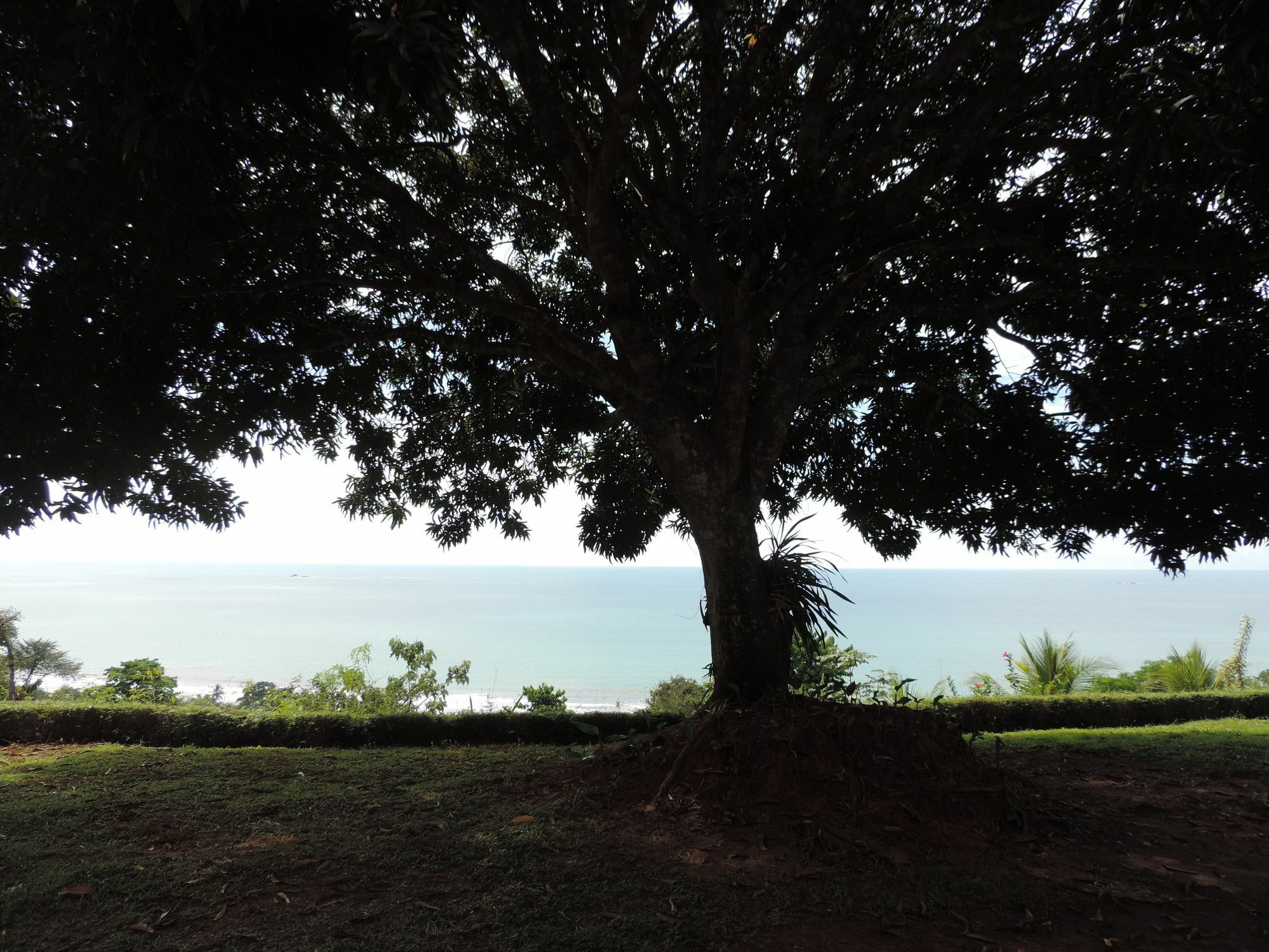Ranchos Remo Lodge Uvita Kültér fotó